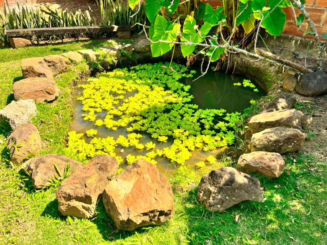 Hotel Solarium Posada 索科罗 外观 照片